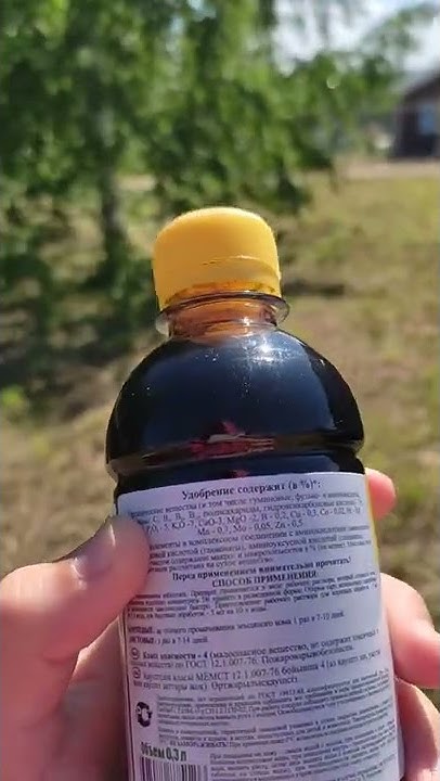 Удобрение для цитрусовых растений 🍊🍋🌱 - YouTube