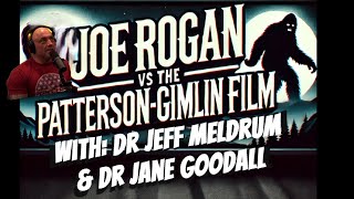 Joe Rogan Vs The Pg Film Why Its Real