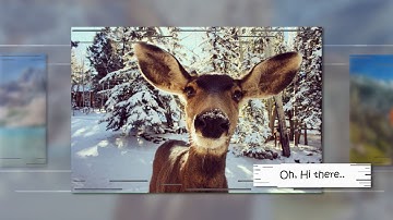 Photopia Smooth Transition Template by Outsidetheboxstyles