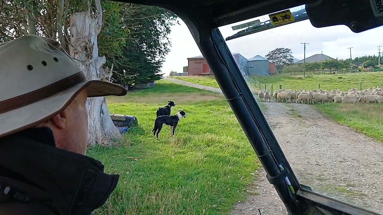 Lloyd Smith 2 - South Island, New Zealand. 