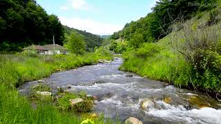 4k UHD Countryside Mountain Stream Flowing, River Sounds, White Noise, Mature Sounds for Sleeping.