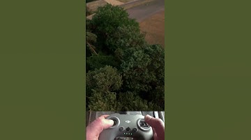 nearly Crashed in the woods #huma20 #flow #FPV #fpvdrones #FPVLife #FreestyleFPV #MonkeymindFPV