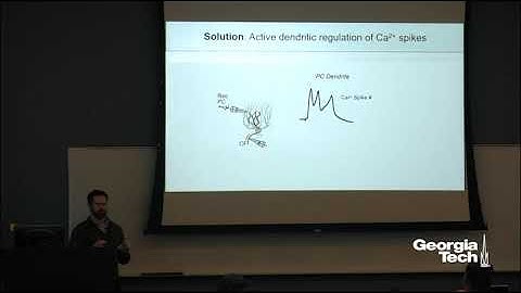 Dissection of Neural Circuit Function and Degeneration from a Subcellular Perspective