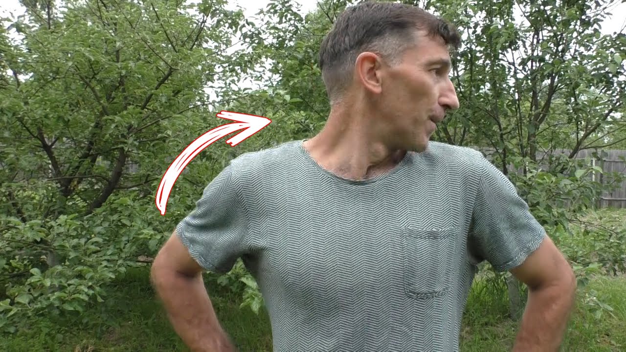 👉 Развивает Лёгкие, улучшает Газообмен и насыщает организм кислородом ...