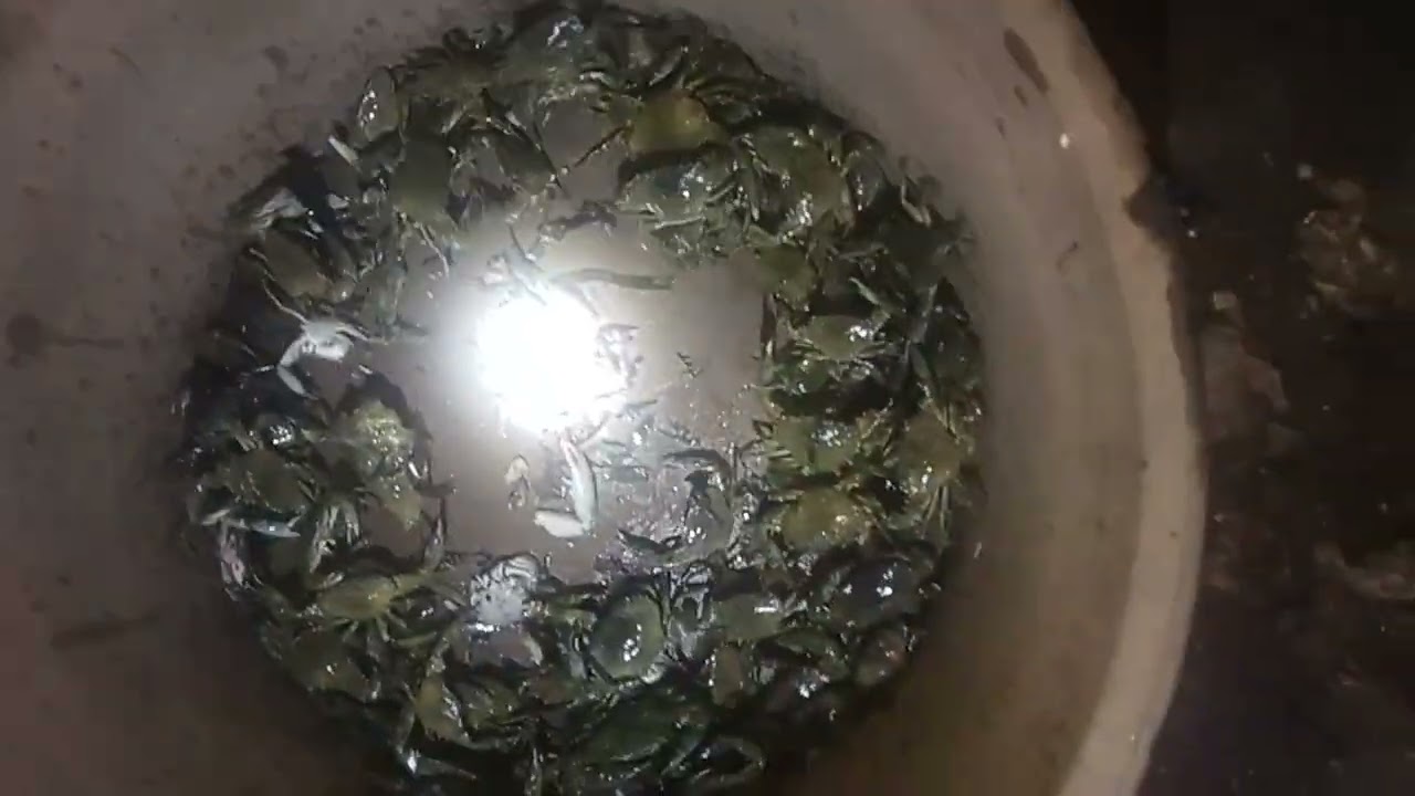 May pang ulam nanaman 😁😁#seafood #buhayprobinsya 