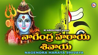 నాగేంద్ర హరయ శివయ | భగవంతుడు శివ భక్తి పాటలు | Hindu Devotional Songs Telugu | Lord Shiva Songs |