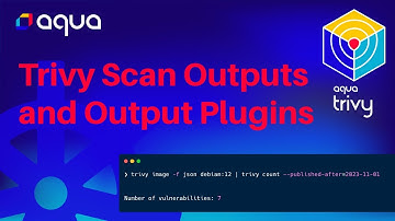 Security Scan Output, Formats and the new Output Plugin