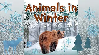 🦊 Animals in winter by Jenna Lee Gleisner | Winter Books for Preschool