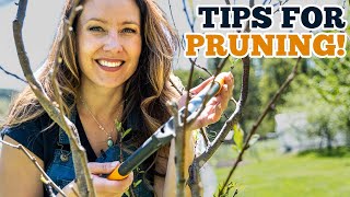 Do This Now to Your Fruit Trees (Stop Waiting for Winter!)