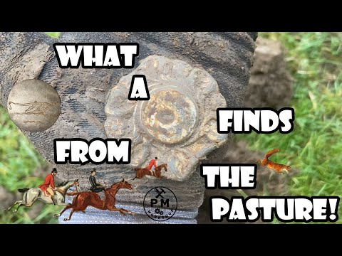 What I can find in Oxfordshire pasture? | Metal detecting UK | Minelab Equinox 800