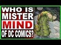 Who Is DC Comics' Mister Mind? The Smallest & Most Powerful Telepath!