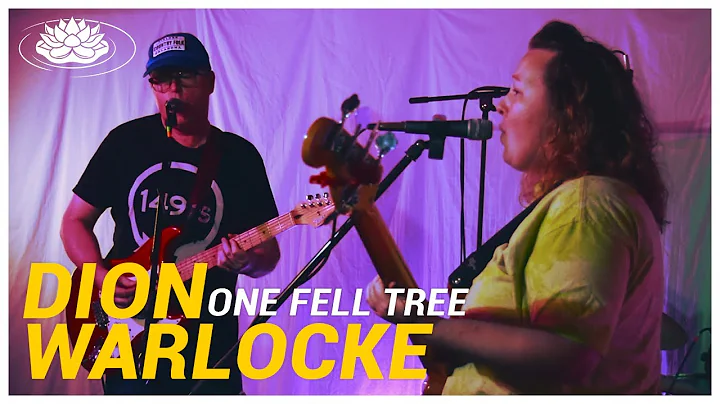 Dion Warlocke - One Fell Tree | CLM Live