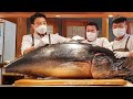 100kg급 참다랑어! 직접 볼 수 있는 대형 참치 해체쇼! / Giant bluefin tuna cutting show - Korean street food