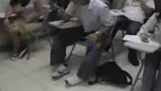 Version 2 of the video