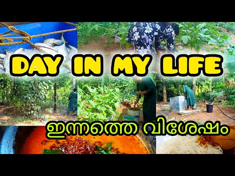എന്റെ ഒരു ദിവസം ഇങ്ങനെയാണ് ||My Life|| ||Anagi world|| 