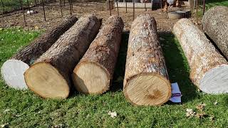 First step with logs Seal the Ends