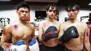 I Boxed The Dobre Twins!!