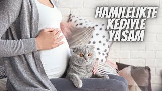 Hamileyim, kedimi evden yollamalı mıyım?