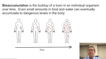 POPs and Bioaccumulation
