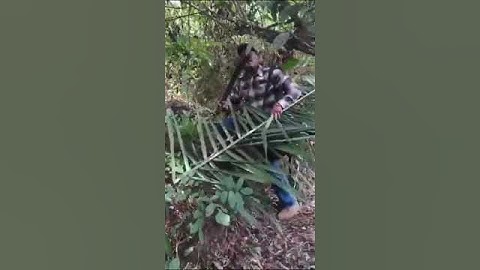 VIDEO OF OGECHUKWU NKERE, WENT BACK TO BIAFRA LAND TO SECURE LAND HE WANT TO USE AND BUILD ESTATE