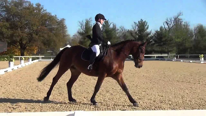 Jean Tuttle USDF Finals 1st Level MFS AA 2015