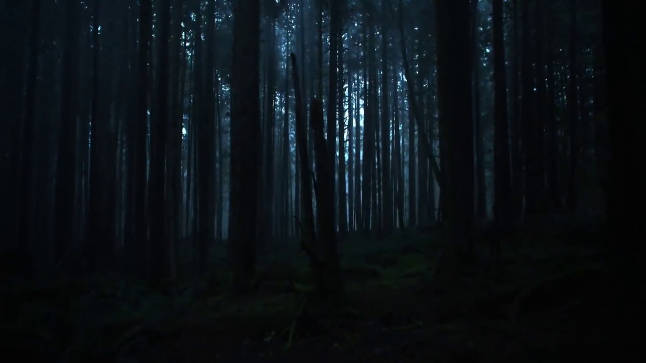 Tráiler 1 - ANTLERS (Español Latino) - YouTube