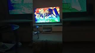 Petit Fortnite Ludoalstarr