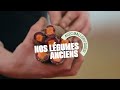 Grand frais I Mallory Gabsi rencontre Christophe et Simon, producteurs de légumes anciens