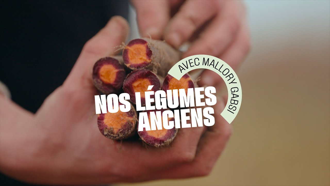 Grand frais I Mallory Gabsi rencontre Christophe et Simon, producteurs de légumes anciens