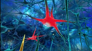 Skyfun VR Adventure in your mind!