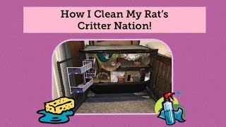 How to Clean your Rat Cage (CN)