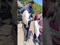 Trip mancing 19 juli 2026 #mancing #fishing #trip #adventure