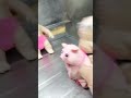 #funny