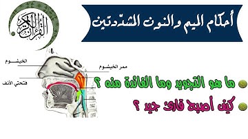 تعلم قواعد التجويد: أحكام الميم والنون المشددتين