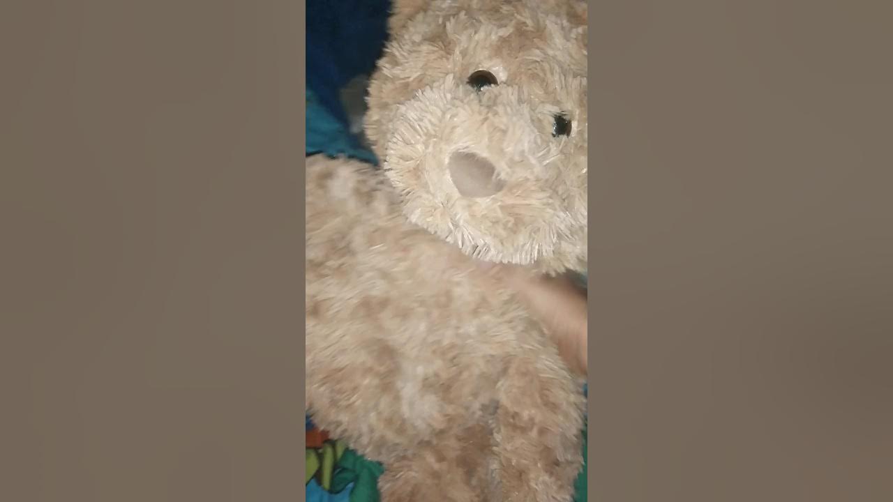 sam bear alpha irl plush bear - YouTube