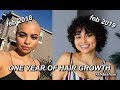 ONE YEAR OF HAIR GROWTH! (SHAVED HEAD TIME LAPSE)