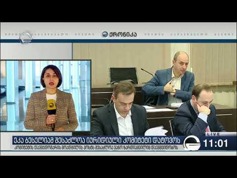 ტოვებს თუ არა ეკა ბესელია იურიდიულ კომიტეტს