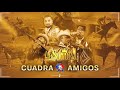 CORRIDOS DE CABALLOS - El mencho - Los de Sonora 2019 (en vivo)