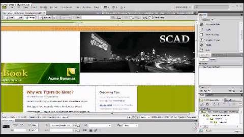 Newsletter_part1.wmv