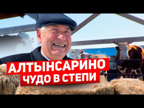 Видео: Село Алтынсарино. У них получилось!