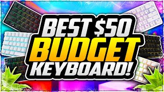 Best BUDGET 60% Keyboard Under $50! CHEAP Gaming Keyboard Under 50! RK61 Review