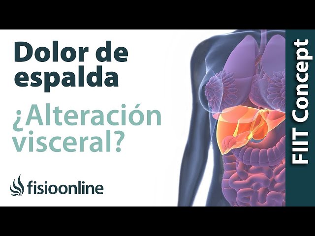 me duele la parte izquierda baja del estomago me duele la parte izquierda baja del estomago