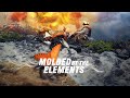 MOLDED BY THE ELEMENTS | KTM Adventure 390 x Legundary Custom | Accessories