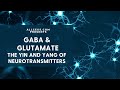 364  Neurotransmitters and Mood  GABA & Glutamate