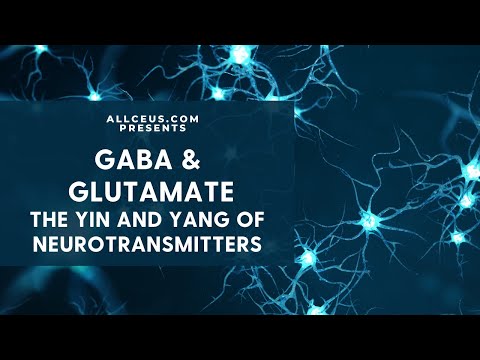 Video: Hoe werk glutamien in die liggaam?