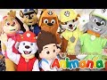 Paw Patrol Latino - Show Infantil