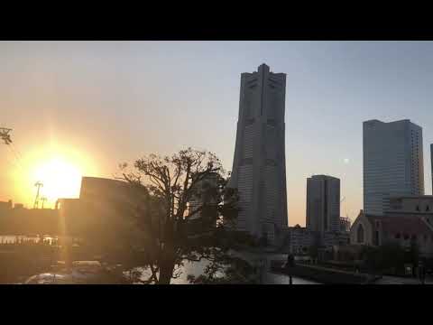 THE LANDMARK TOWER IN YOKOHAMA JAPAN MAR MASA Landmarktowerjapan Landmarkyoweryokohama Shorts