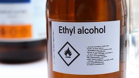 Lab Equipment Review at Sindh University | Institute of Biotechnology & Genetic Engineering Part 1