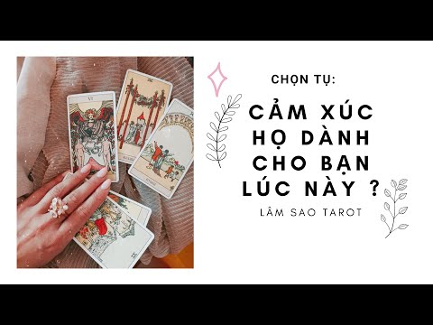 Video Cảm xúc họ dành cho bạn lúc này là gì - lâm sao tarot - youtube
