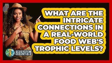 What Are The Intricate Connections In A Real-world Food Web